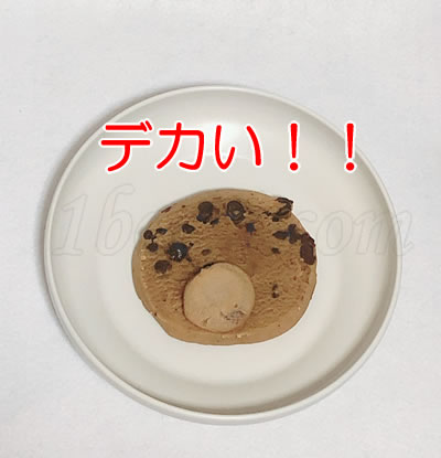Lenny＆Larrys The COMPLETE Cookieの大きさデカい
